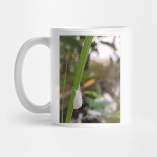 Snow Butterfly Mug